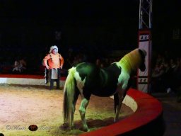 Circus YAKARI Show am 04.10.2024